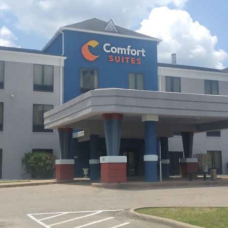 Comfort Suites Airport South Montgomery Exteriér fotografie